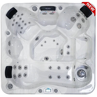 Avalon-X EC-849LX hot tubs for sale in Warwick