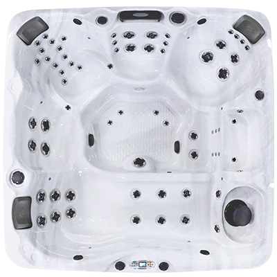 Avalon EC-867L hot tubs for sale in Warwick